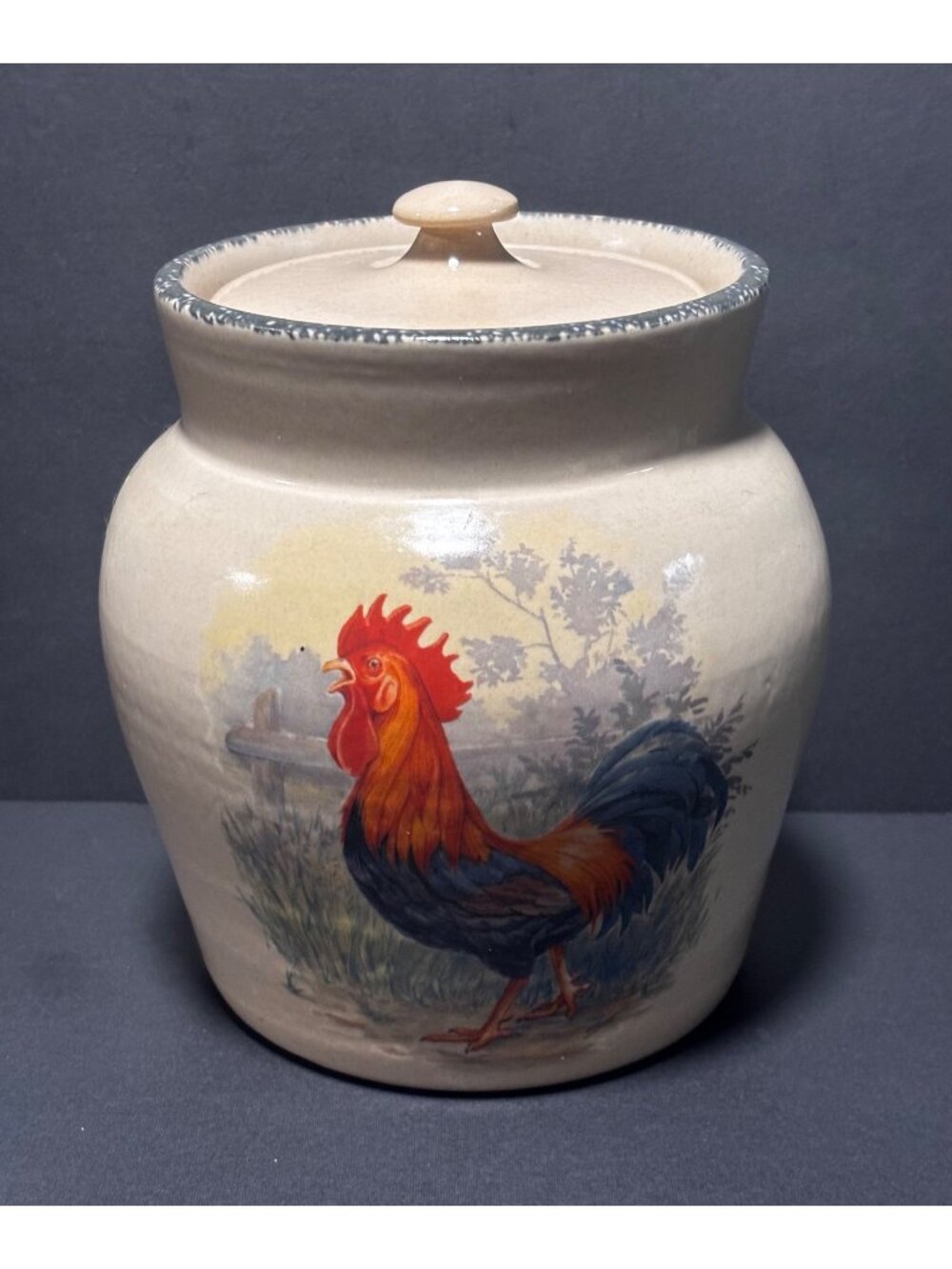 Home & Garden Party Handmade Stoneware Rooster Canister 7" Tall With Lid VTG USA